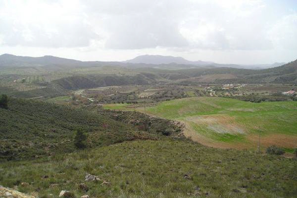 Vistas alternativas