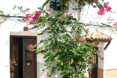 Apartamento in Jimena de la Frontera