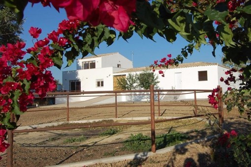 Villa in El Aljarafe