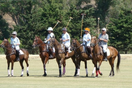 Finca in San Roque