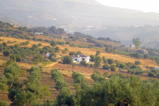 Finca in Sierra de las Nieves