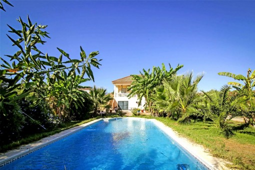 Casa in La Puebla del Rio