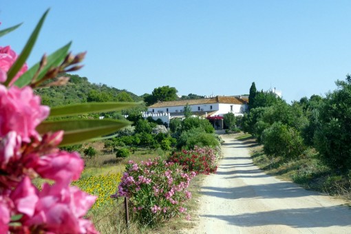 Negocios in Arcos de la Frontera