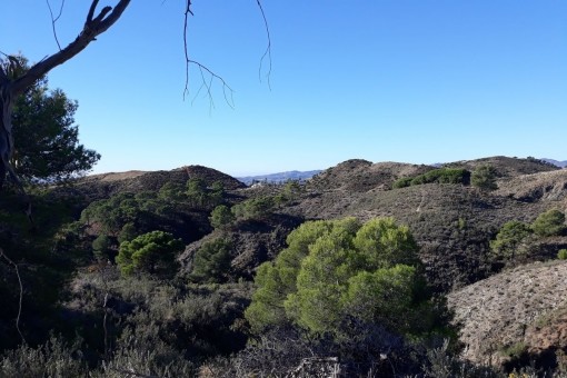 Solar in Mijas