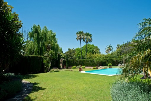 Área exterior con palmeras