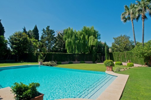 Borde de la piscina con plantas