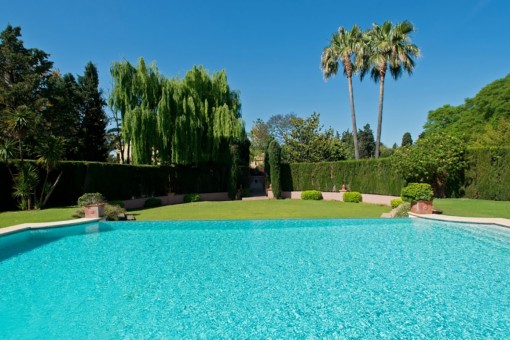 Vstas del área de piscina con jardín