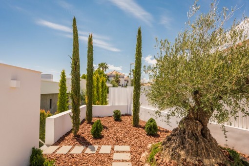 Zona de la entrada y jardín