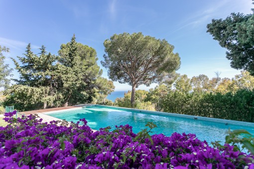 Zona de piscina con vistas impresionantes al mar