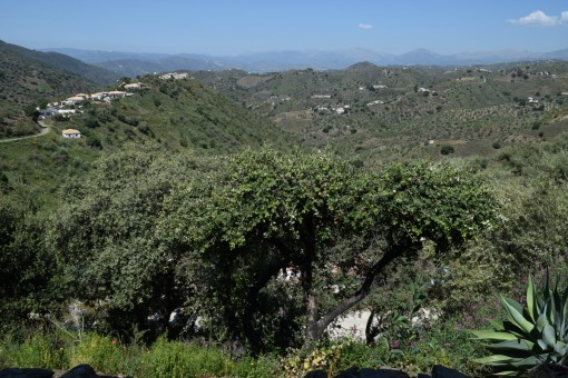 Hermosa finca con piscina y maravillosas vistas a la ...